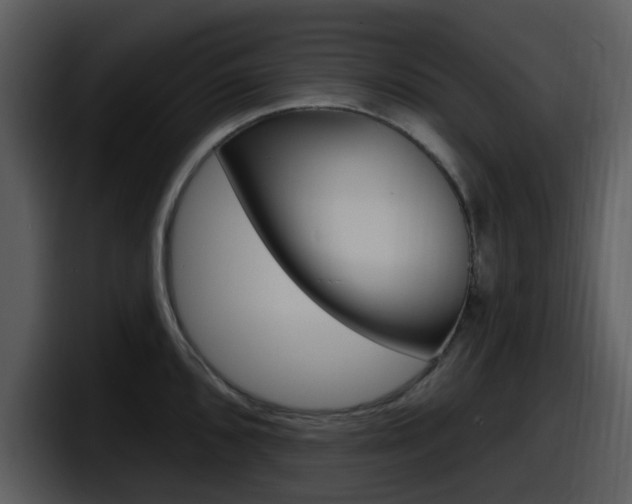 X0000098091096200804040721