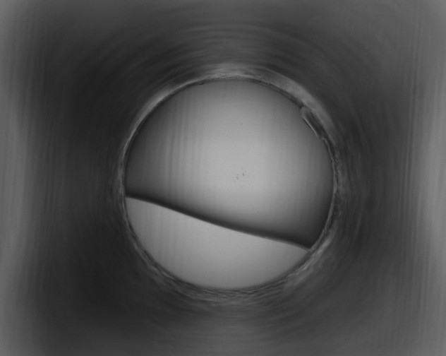 X0000098091097200804040721