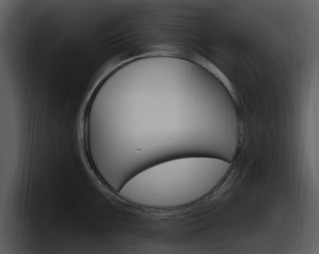 X0000098091099200804040721