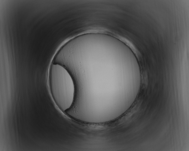 X0000098091103200804040721