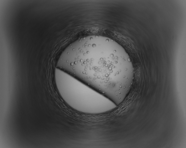 X0000098091105200804040721