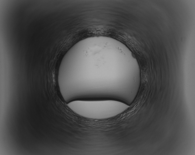 X0000098091106200804040721