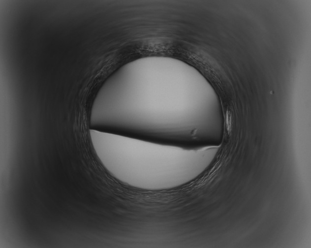 X0000098091107200804040721