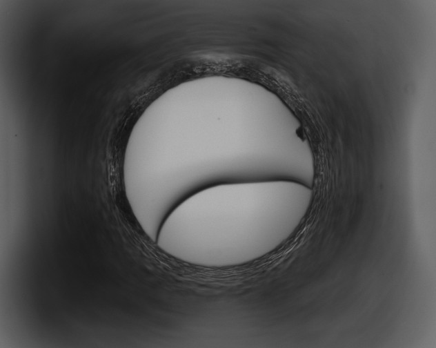 X0000098091109200804040721