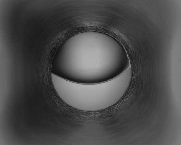 X0000098091110200804040721