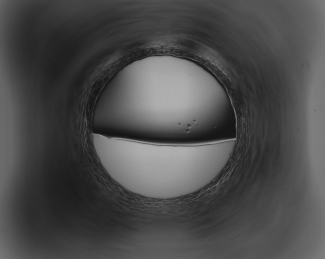X0000098091111200804040721