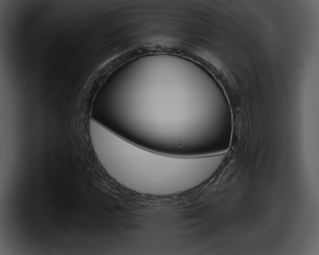X0000098091112200804040721
