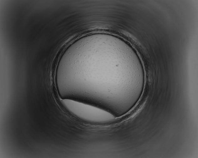X0000098091113200804040721