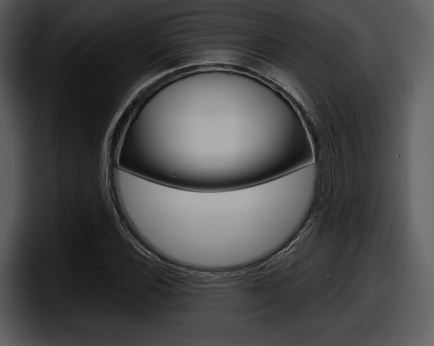 X0000098091116200804040721