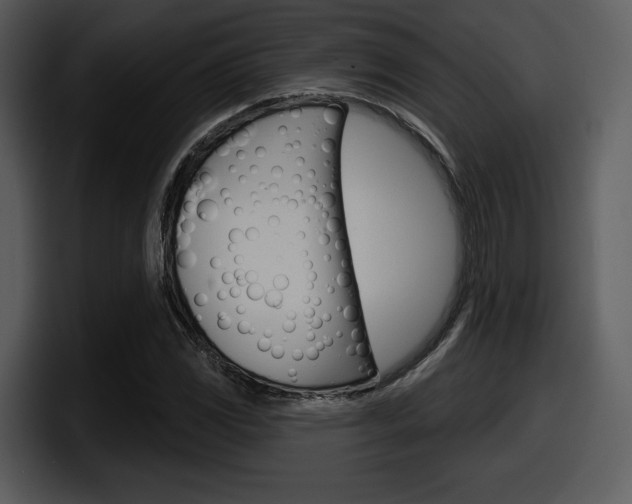 X0000098091117200804040721