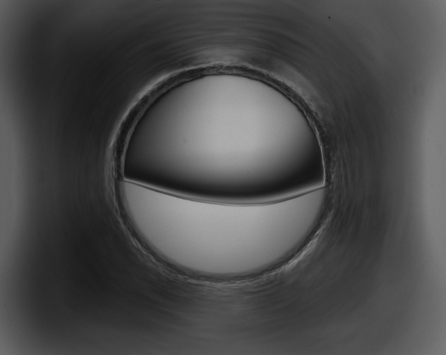 X0000098091118200804040721