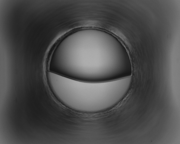 X0000098091120200804040721