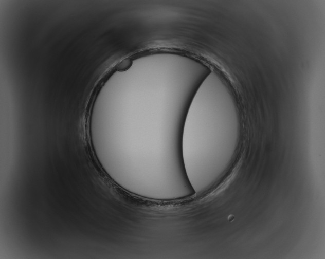 X0000098091121200804040721