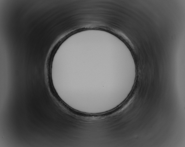 X0000098091122200804040721