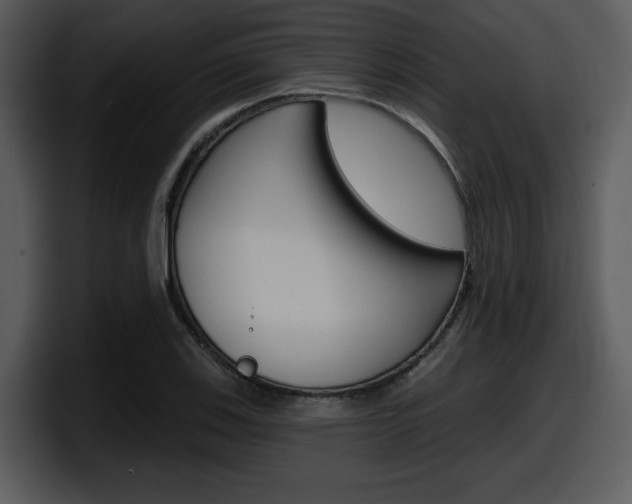 X0000098091123200804040721