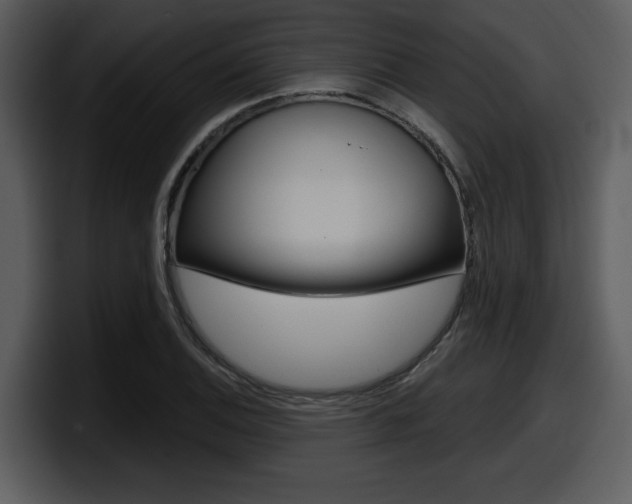 X0000098091124200804040721