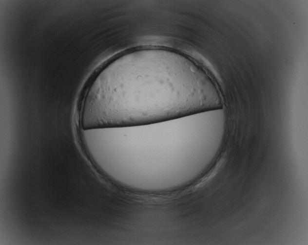 X0000098091125200804040721