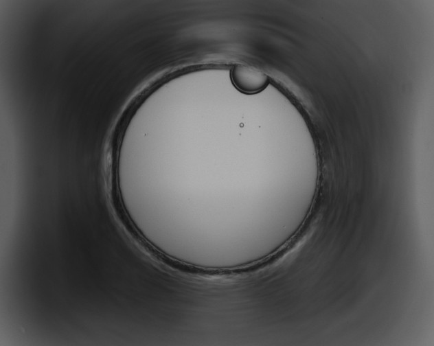 X0000098091126200804040721