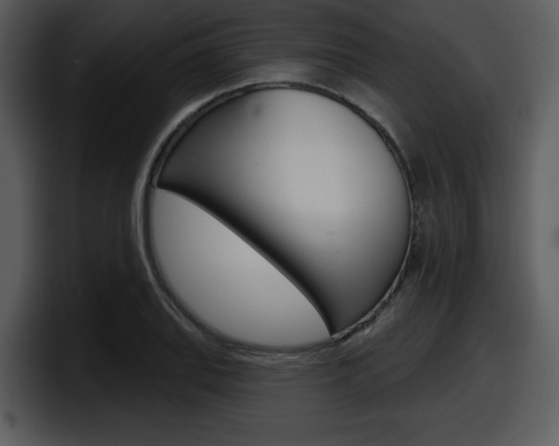 X0000098091127200804040721