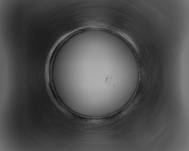 X0000098091128200804040721