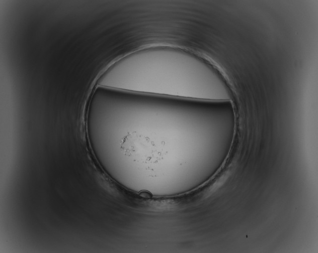 X0000098091129200804040721