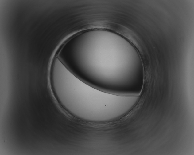 X0000098091132200804040721
