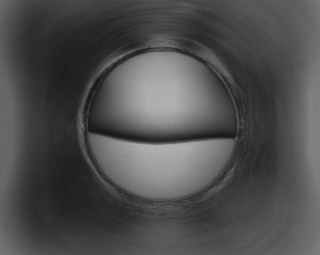 X0000098091133200804040721