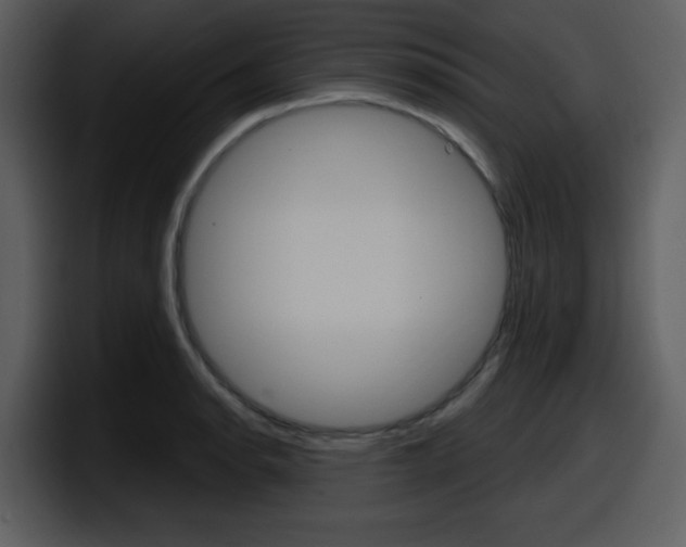 X0000098091134200804040721
