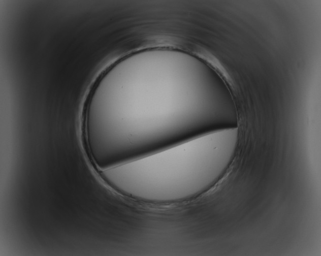 X0000098091135200804040721