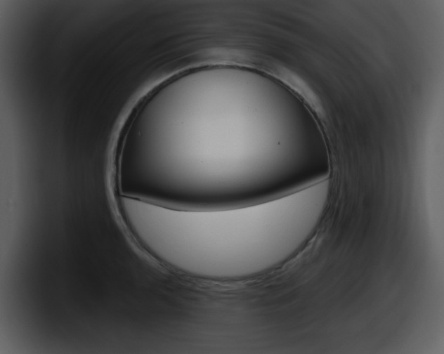 X0000098091136200804040721