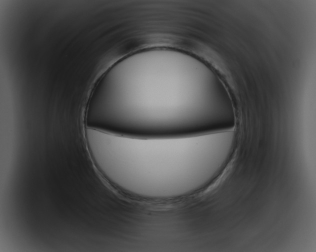 X0000098091137200804040721