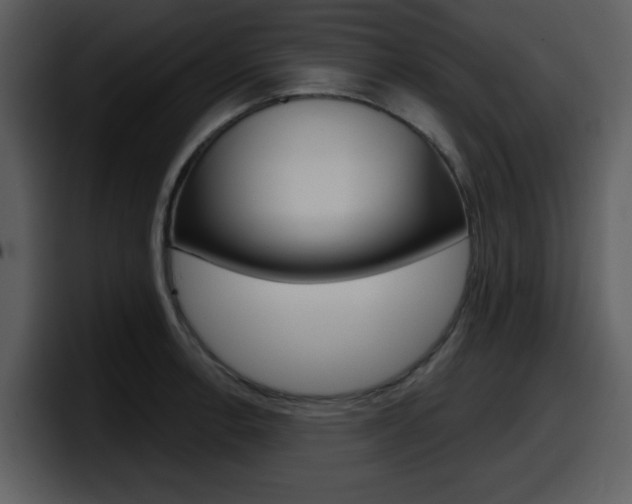 X0000098091138200804040721