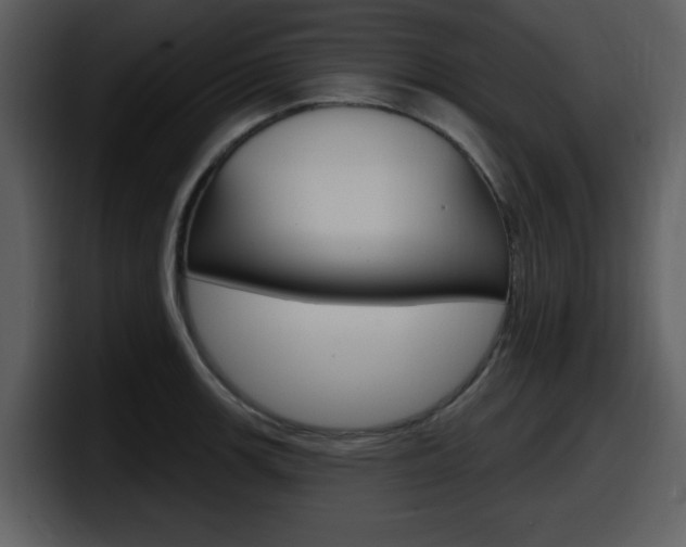 X0000098091139200804040721