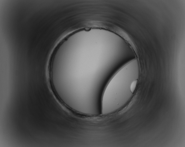 X0000098091141200804040721