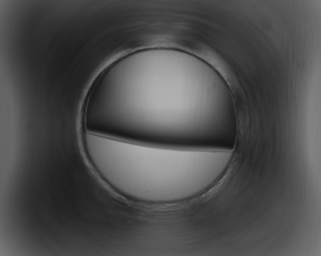 X0000098091142200804040721