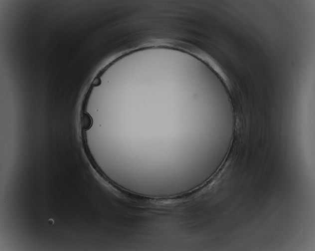 X0000098091143200804040721
