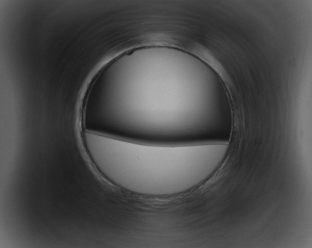X0000098091144200804040721