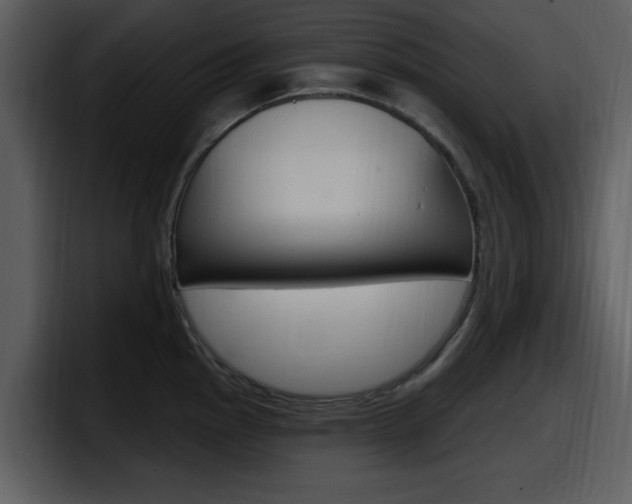 X0000098091145200804040721