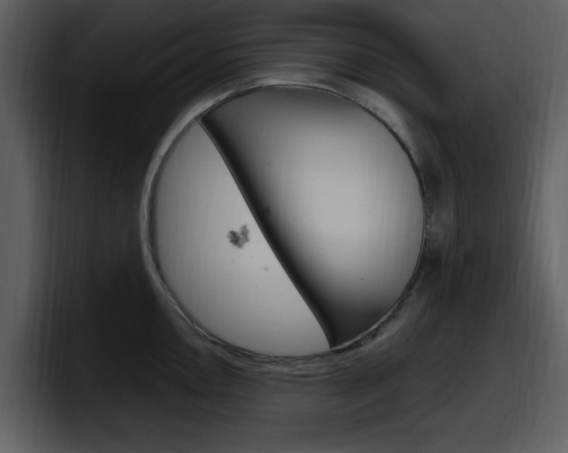 X0000098091146200804040721