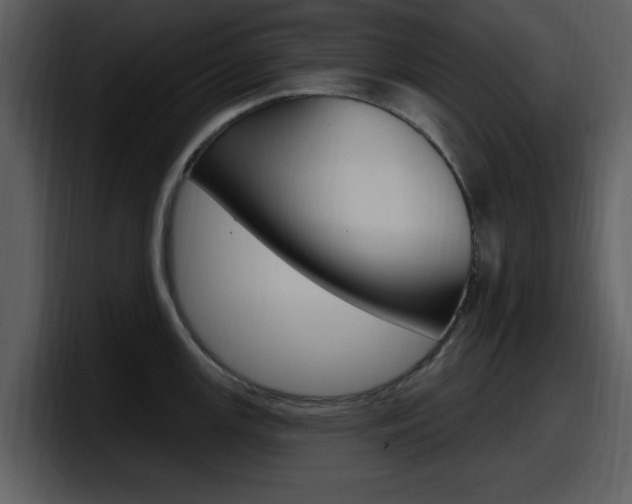 X0000098091147200804040721
