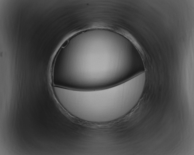 X0000098091148200804040721