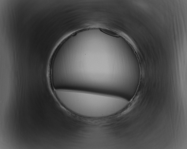 X0000098091149200804040721