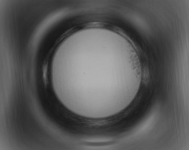X0000098091150200804040721