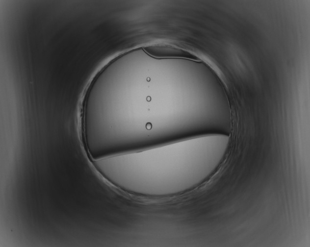 X0000098091151200804040721