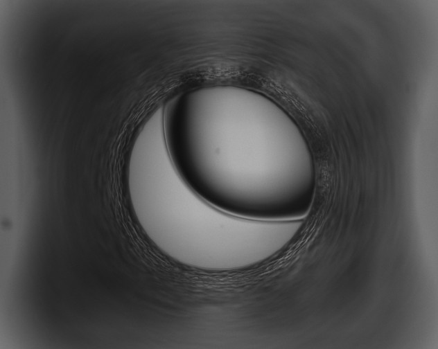 X0000098091153200804040721