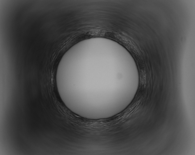 X0000098091154200804040721