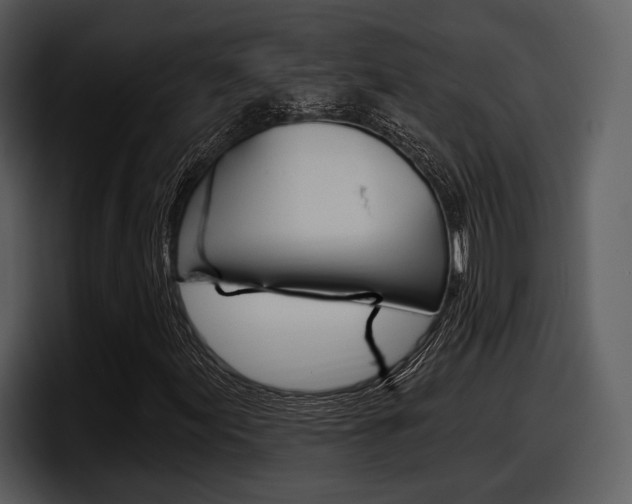 X0000098091155200804040721