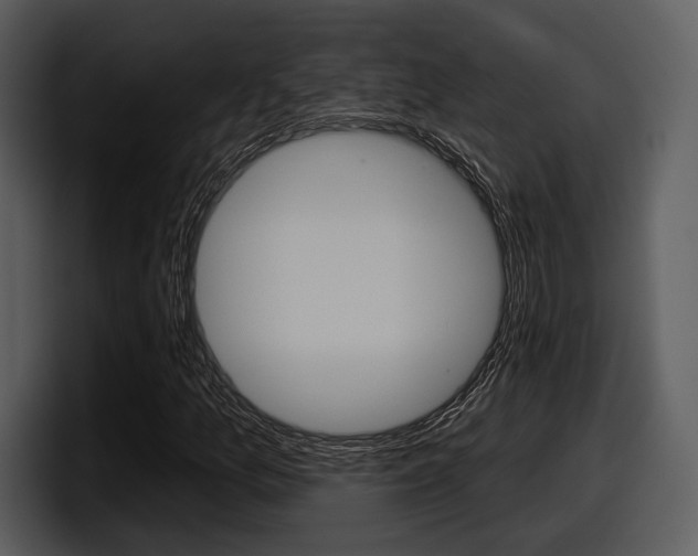 X0000098091157200804040721