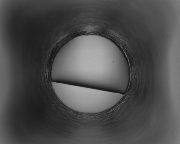 X0000098091158200804040721