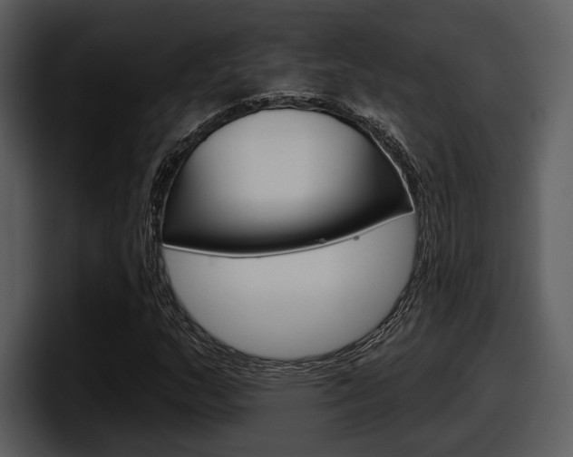 X0000098091159200804040721